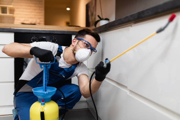 Wasp Removal Services in West Richland, WA