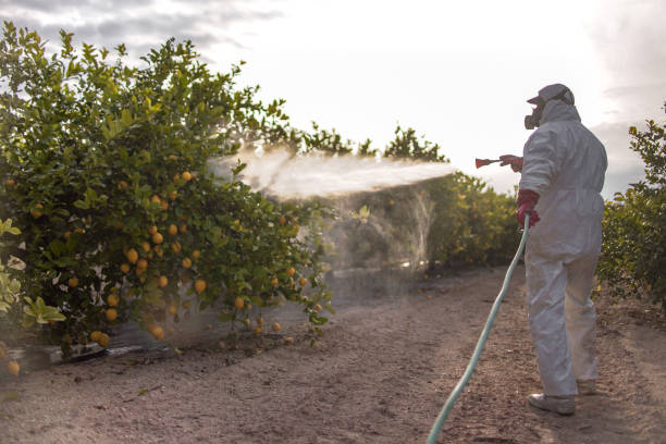 Pest Prevention Services in West Richland, WA