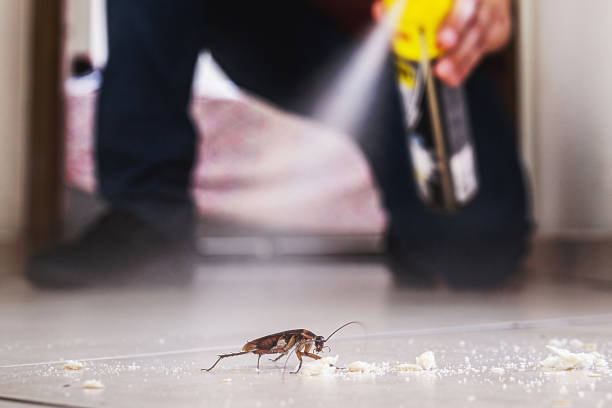 Reliable West Richland, WA Pest Control Solutions